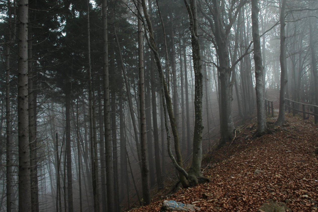 Parco Valentino al Monte Coltignone